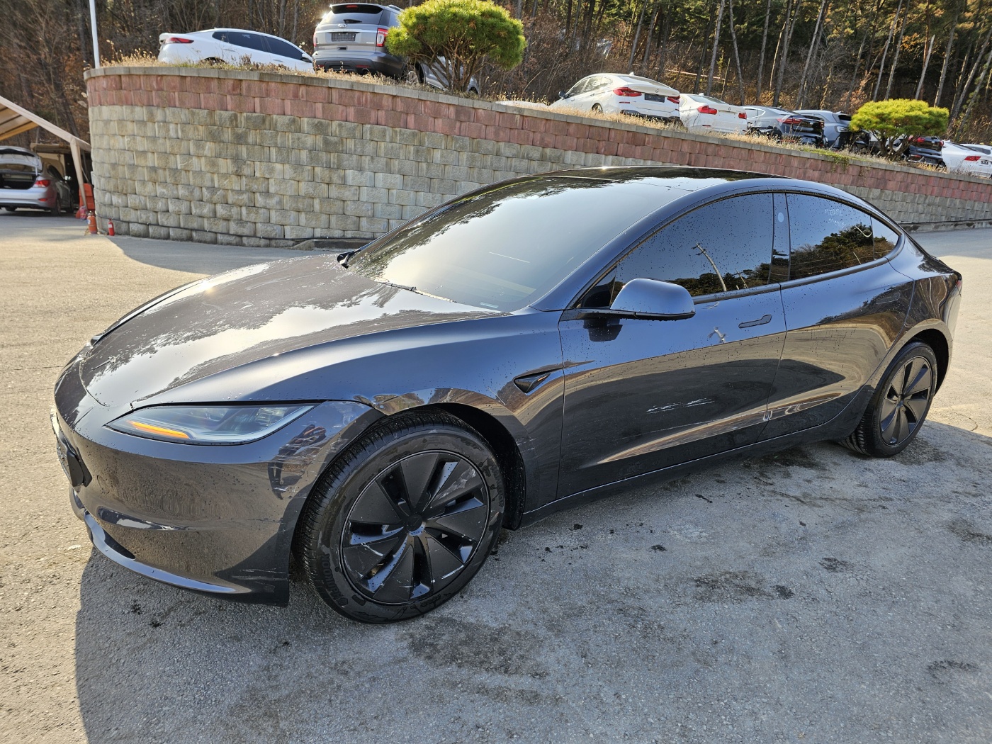 2025 Tesla Model 3 RWD (S/N: 654358)
