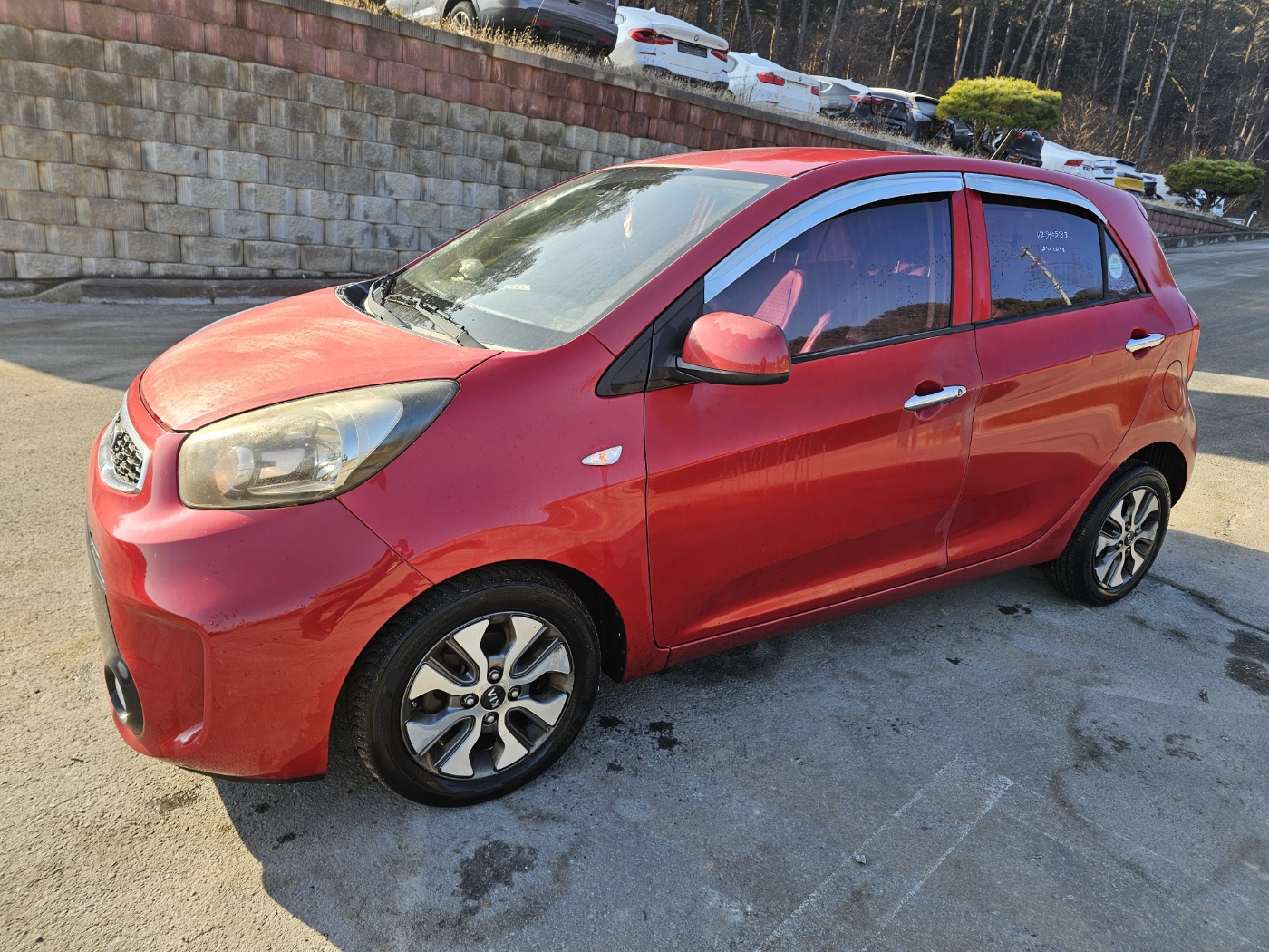 2016 The New Morning Sports RUN (S/N: 189513)