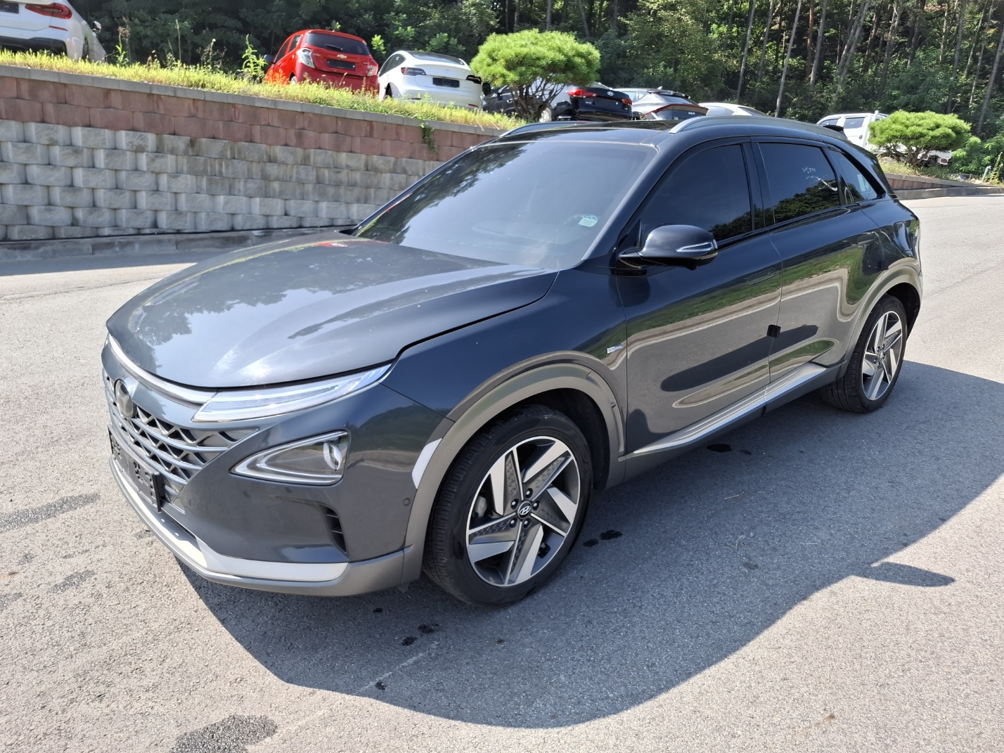 2020 NEXO PREMIUM (S/N: 005582)