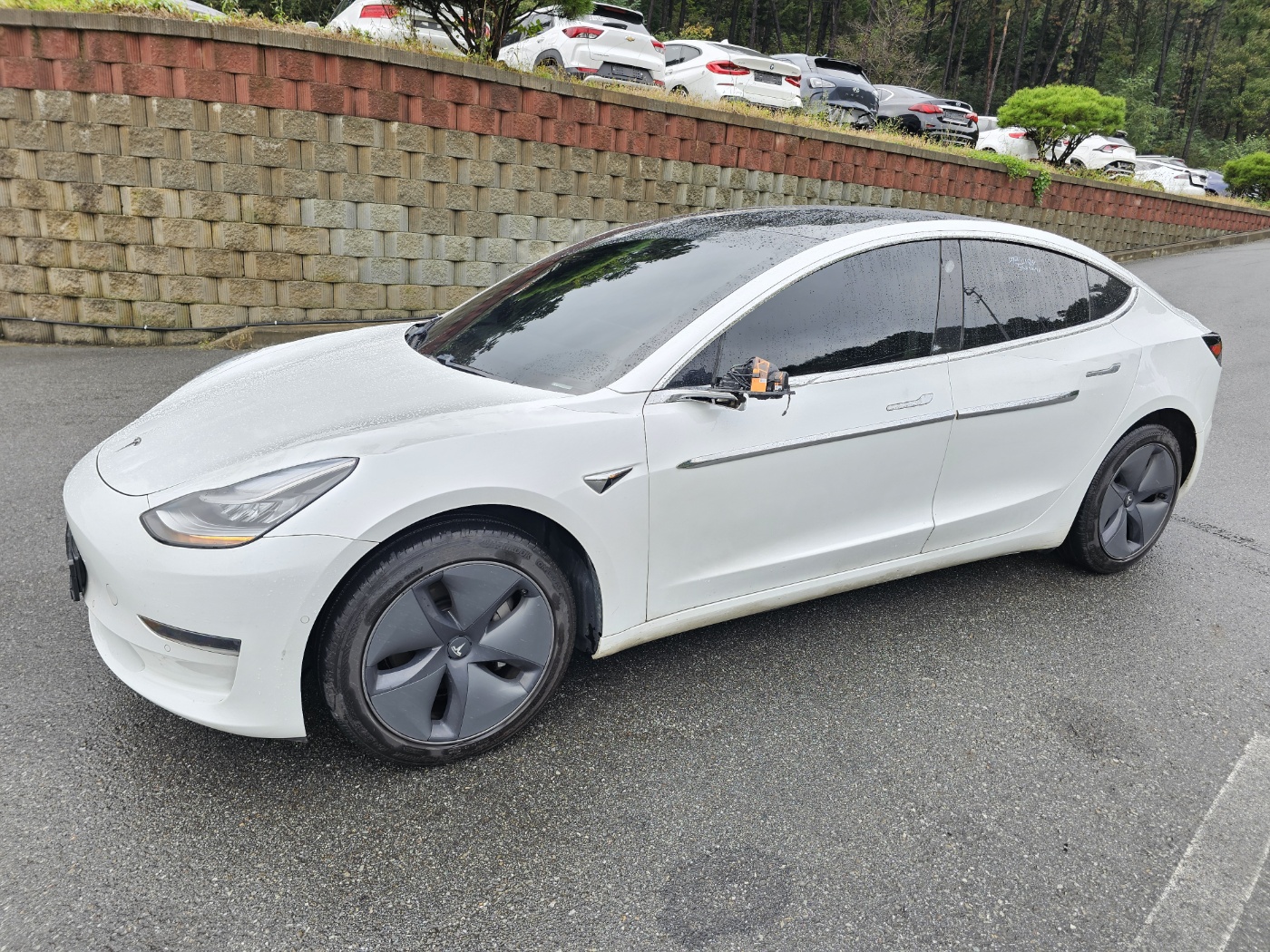 2019 Tesla Model 3 Standard Range Plus (S/N: 585520)