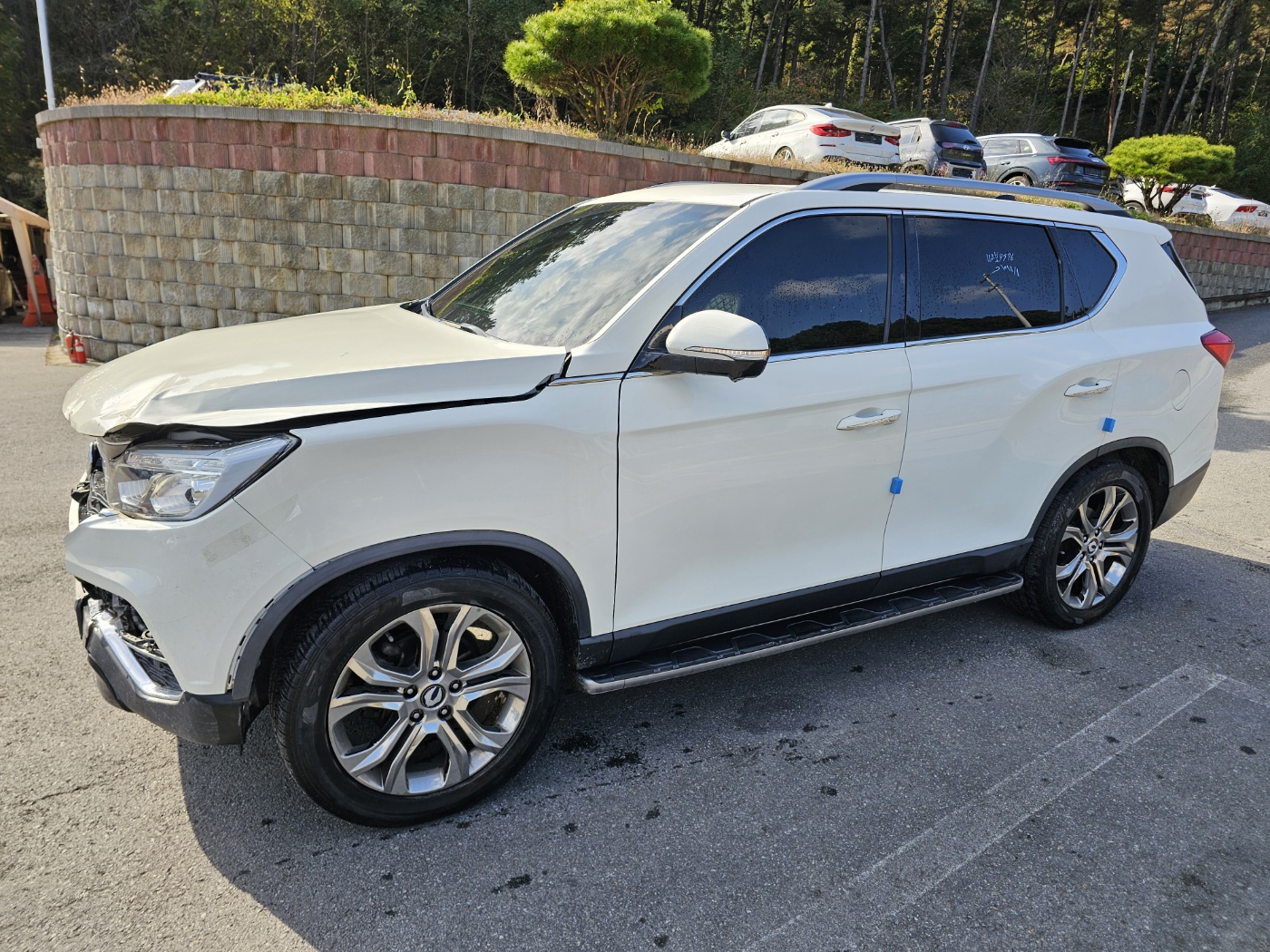 2018 G4 Rexton Diesel 2.2 4WD Eurasia Edition (S/N: 013891)