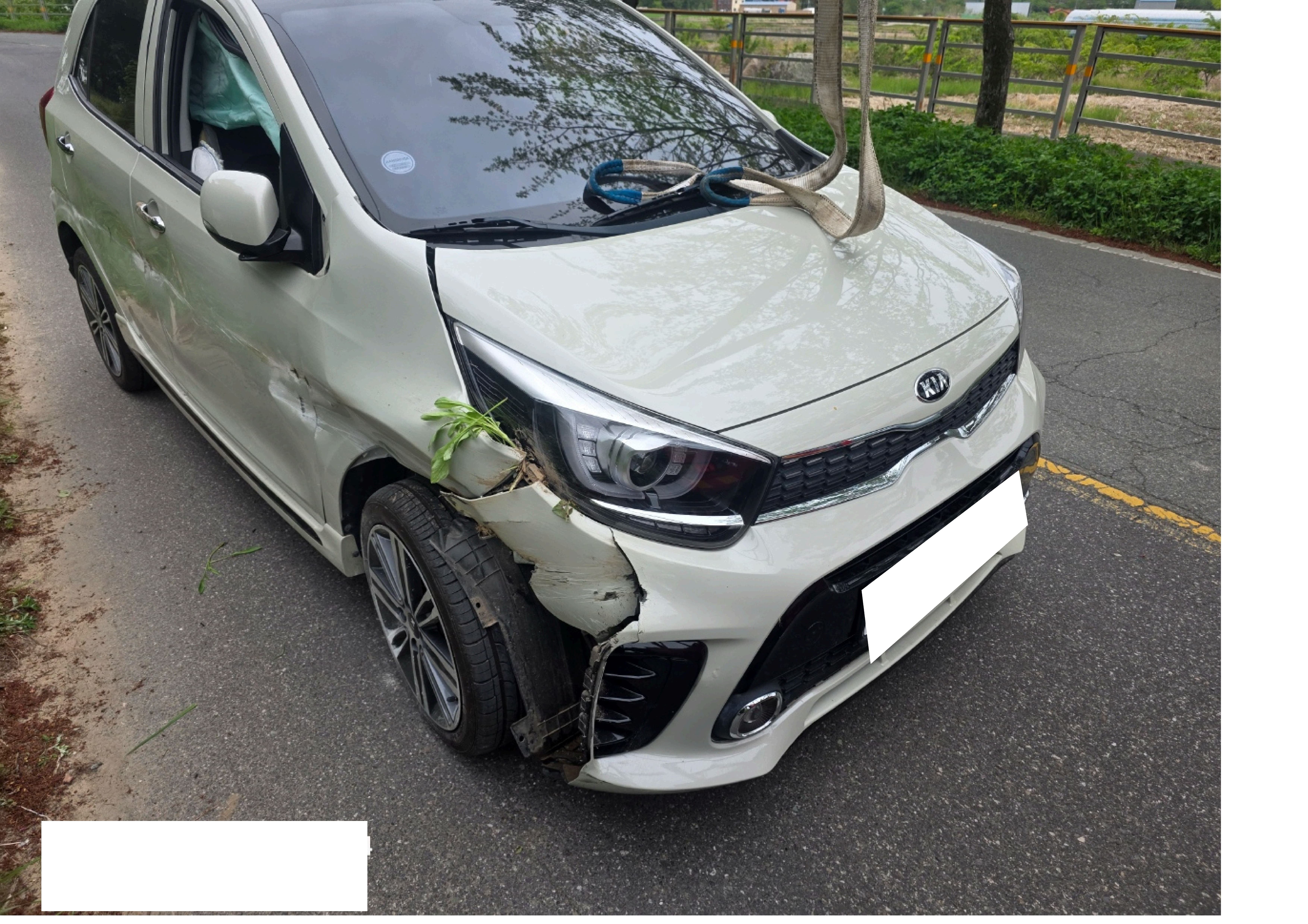 2017 All New Morning (123410) pre-producted