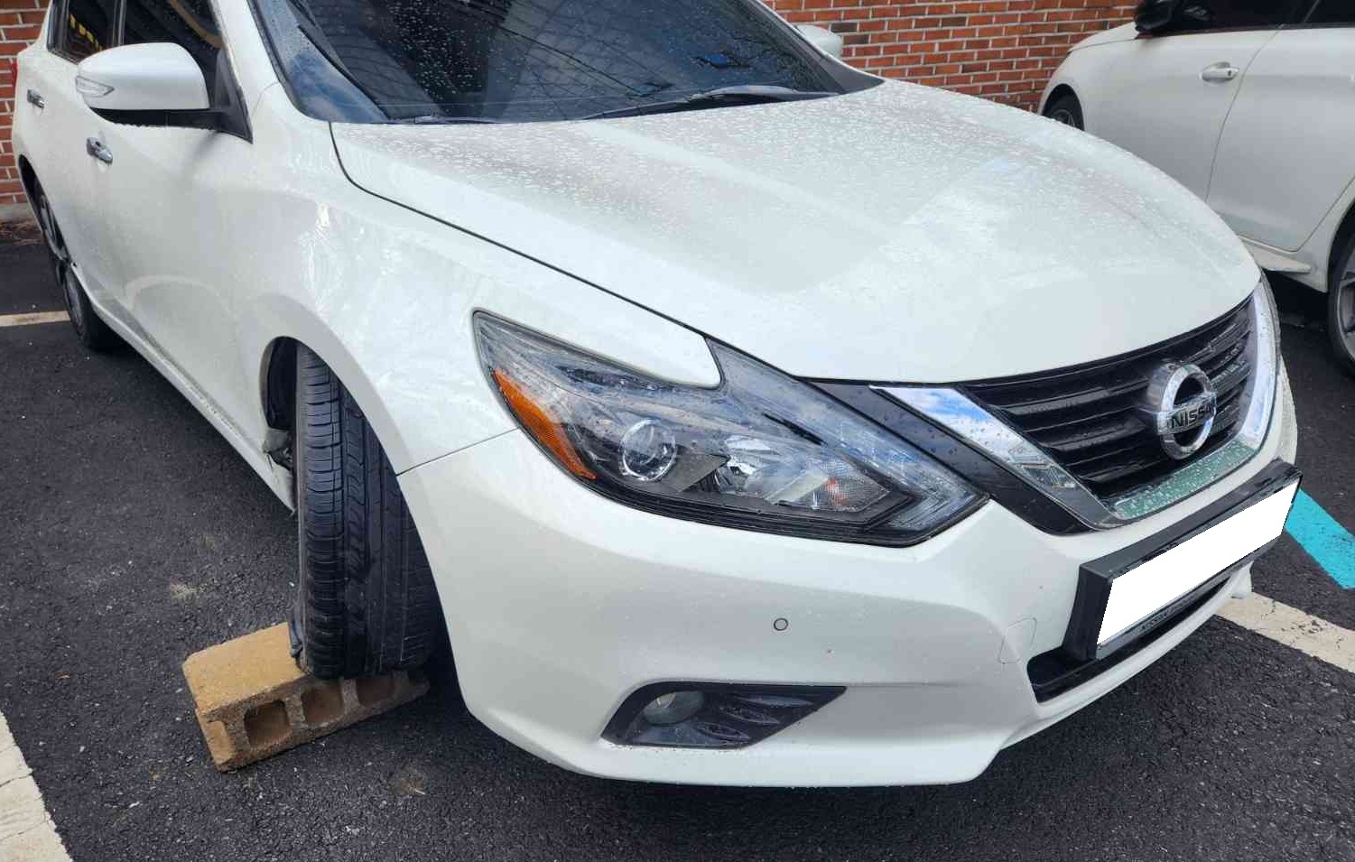 2017 Nissan Altima 2.5 (257950) pre-producted