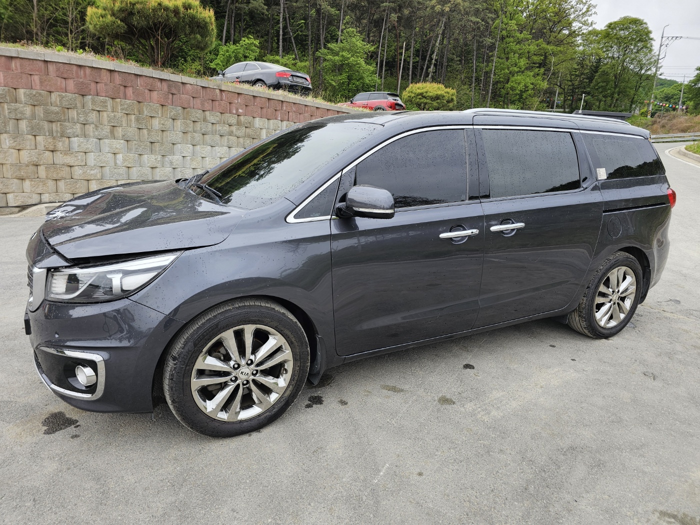 2016 All New Carnival Diesel Limousine (S/N: 092376)