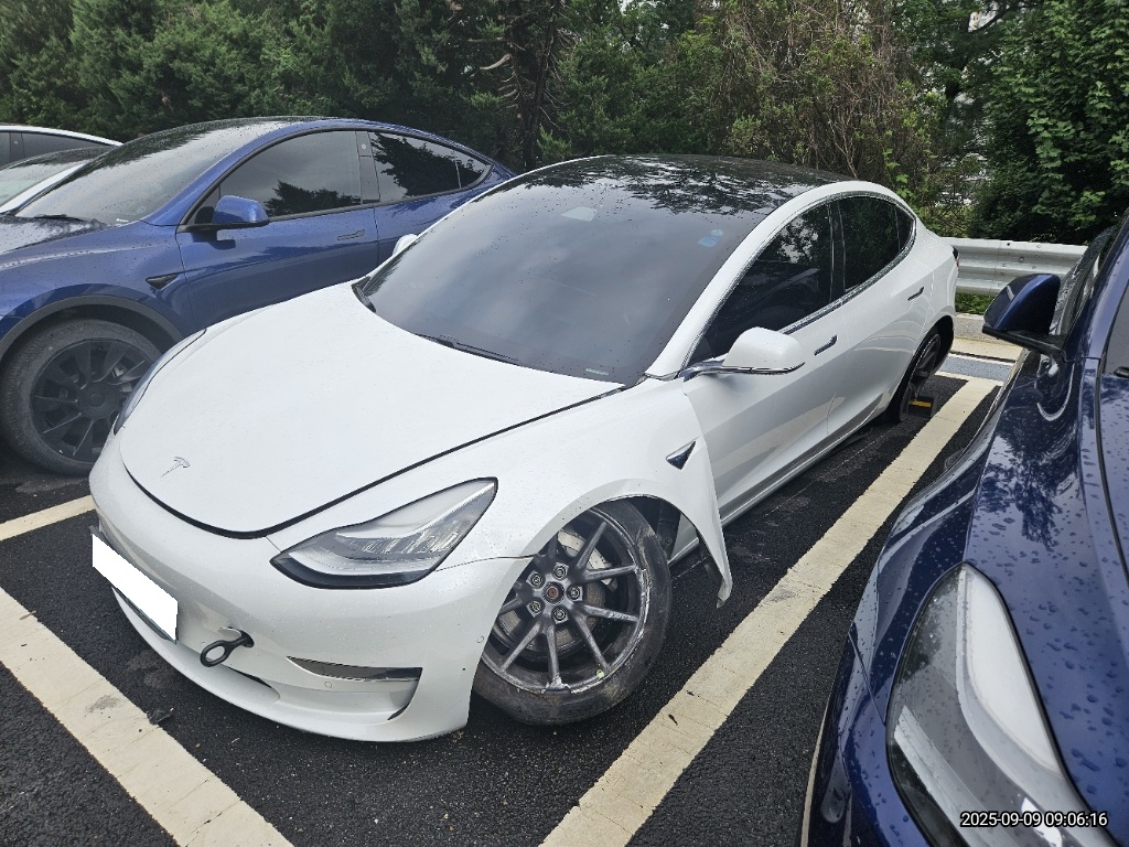 2020 Tesla Model 3 Long Range (694945) pre-producted