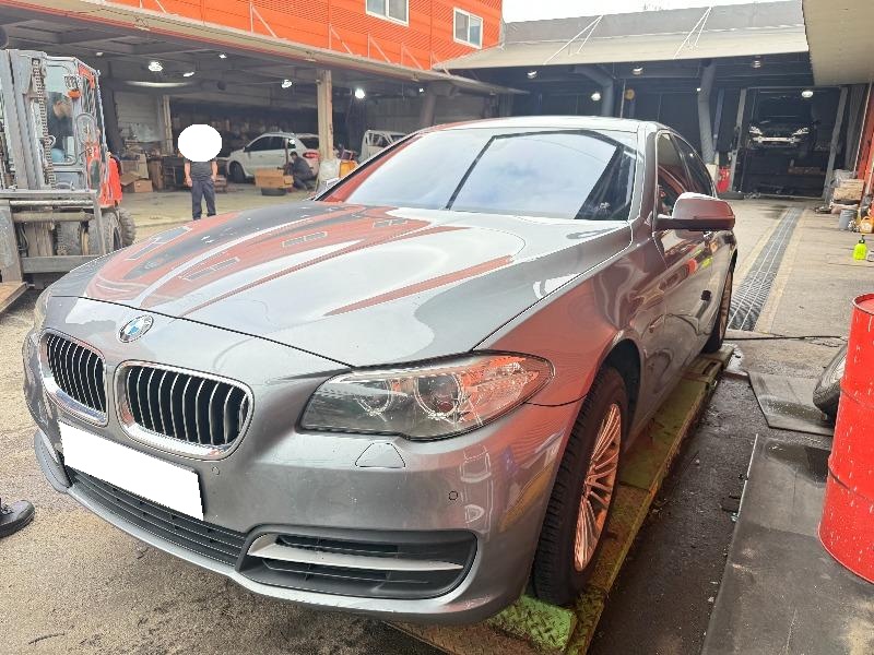 2014 BMW 5 Series (F10) 520d xDrive (565195) pre-producted