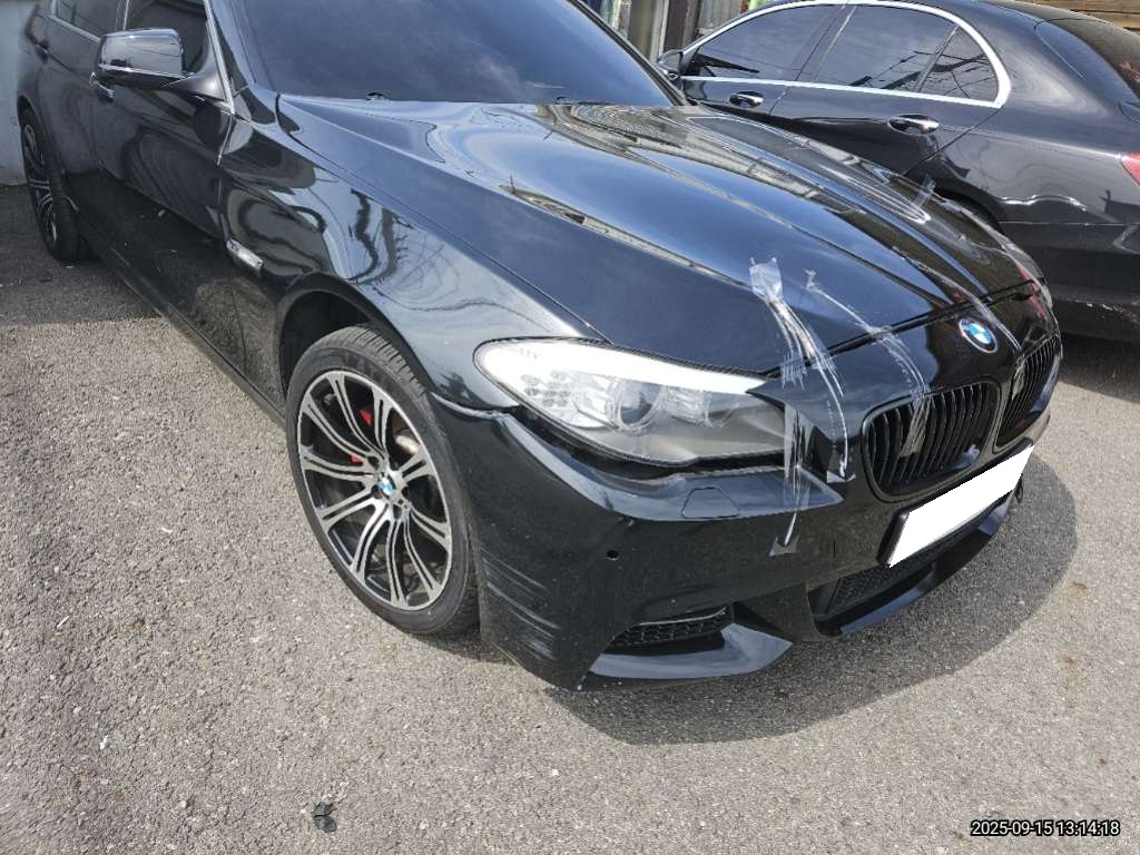 2013 BMW 5 Series (F10) 520d (Y47430) pre-producted