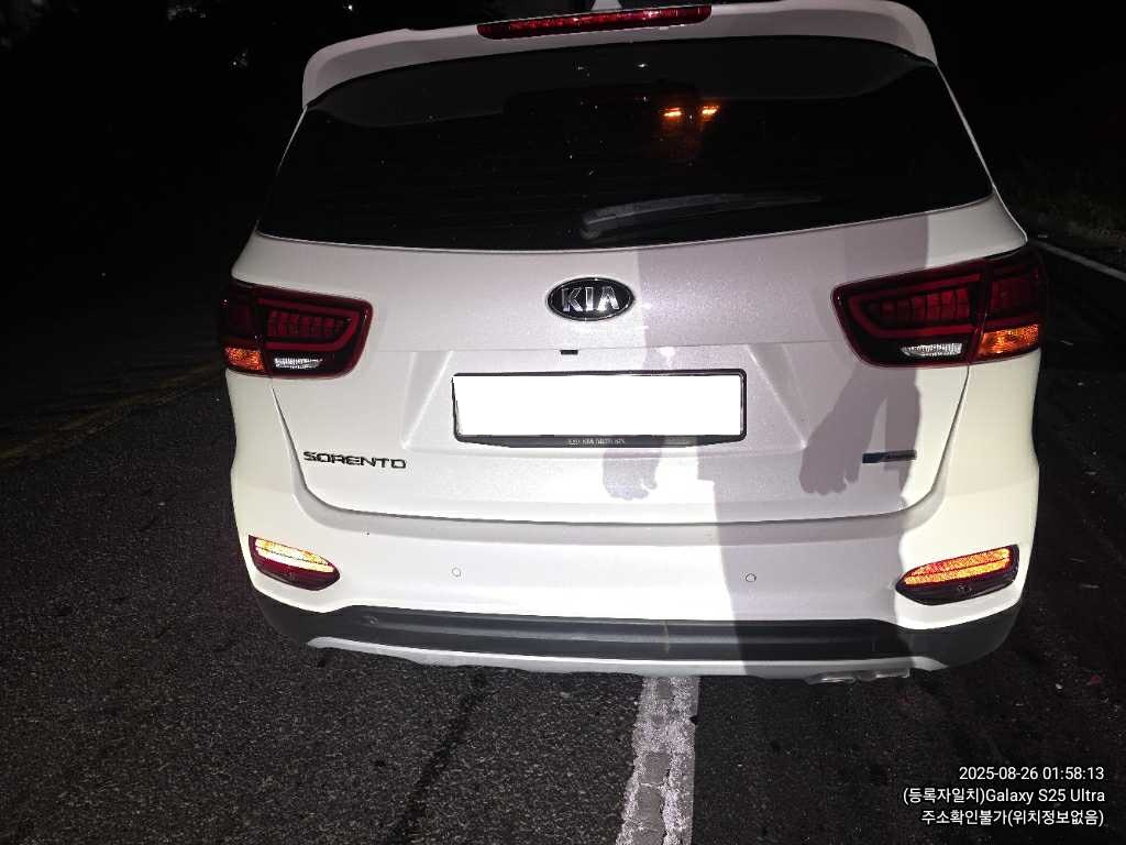 2019 The New Sorento Diesel 2.0 2WD Noblesse (487802) pre-producted