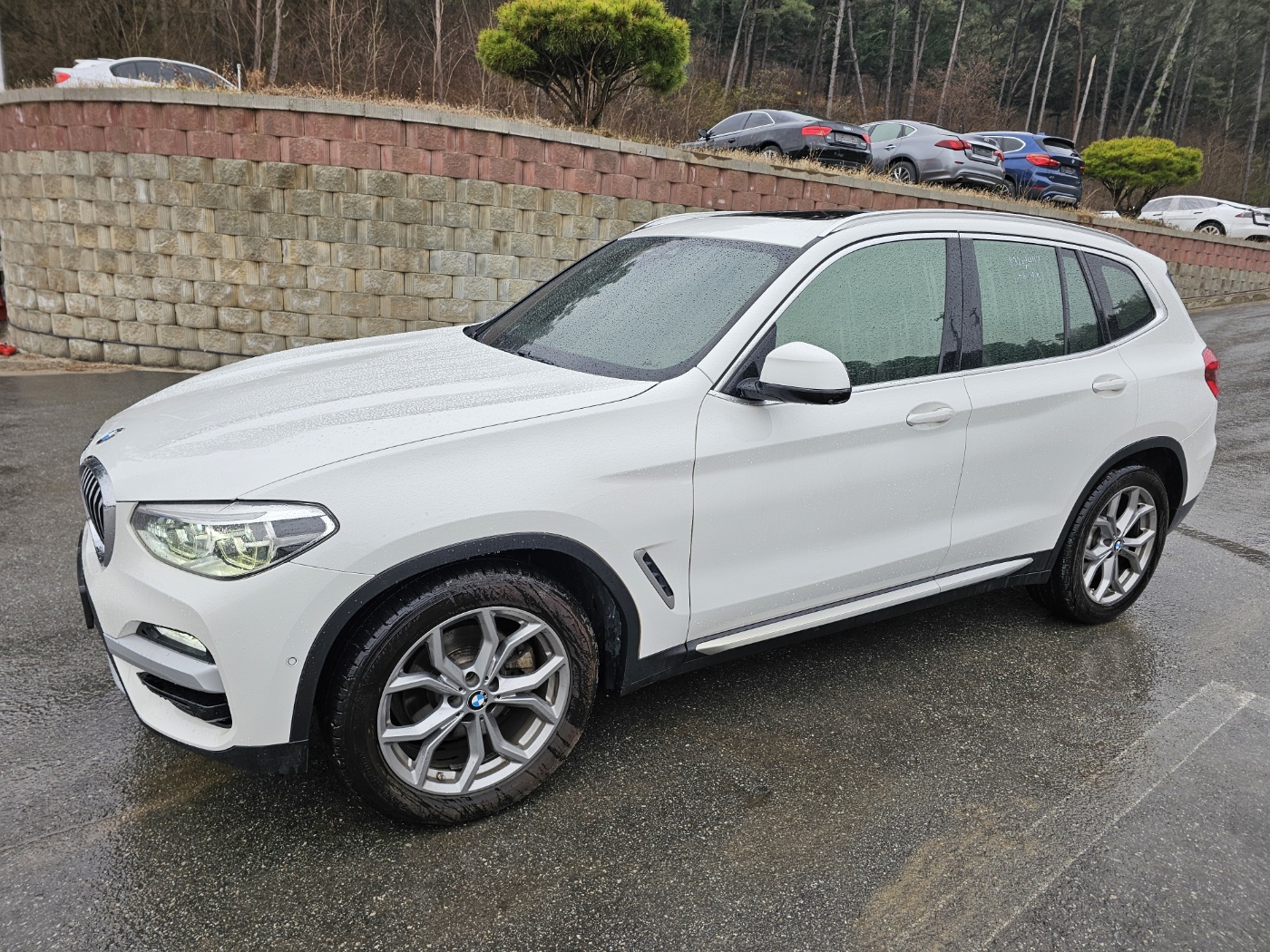 2018 BMW X3 (G01) xDrive 20d (S/N: B96244)