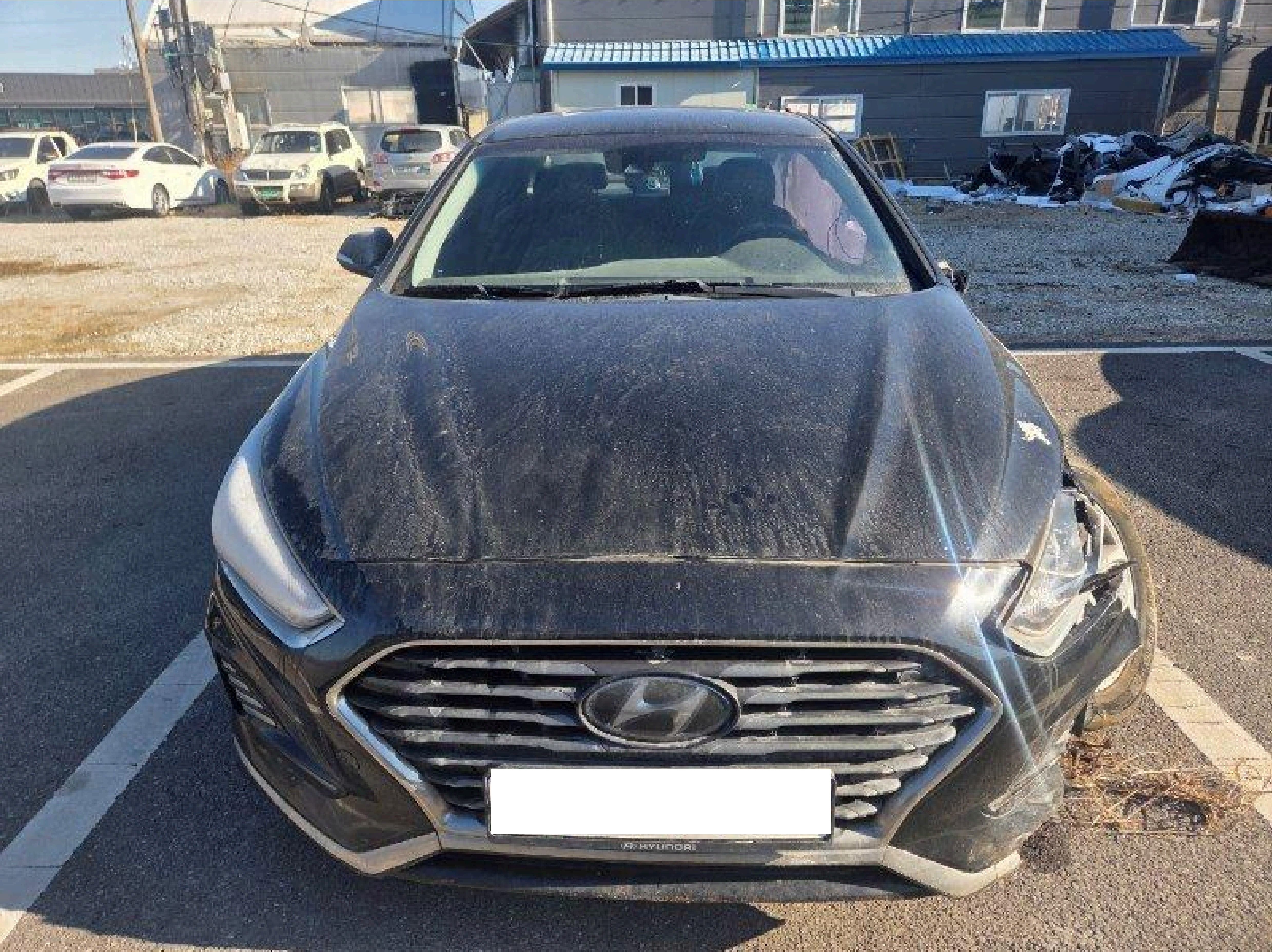 2018 Sonata New Rise 2.0 Smart (468221) pre-producted