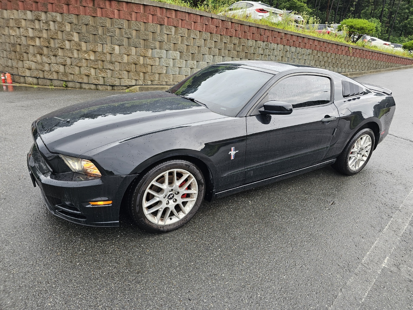 2014 Ford Mustang Coupe (S/N: 312741)