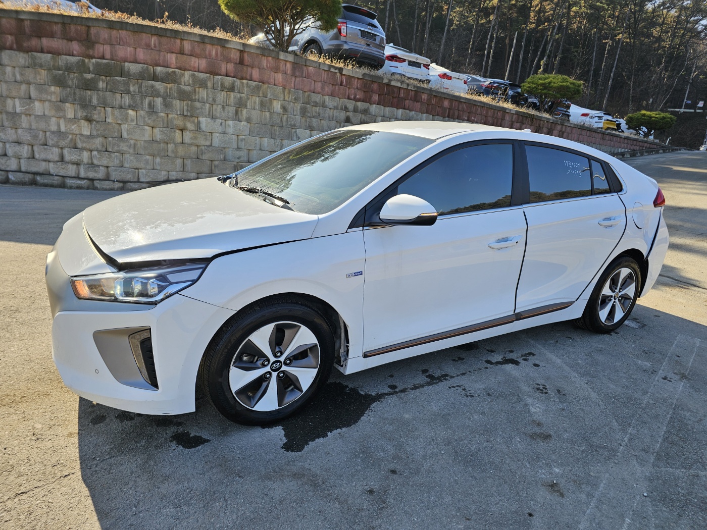 2019 Ioniq Electric Q (S/N: 045683)