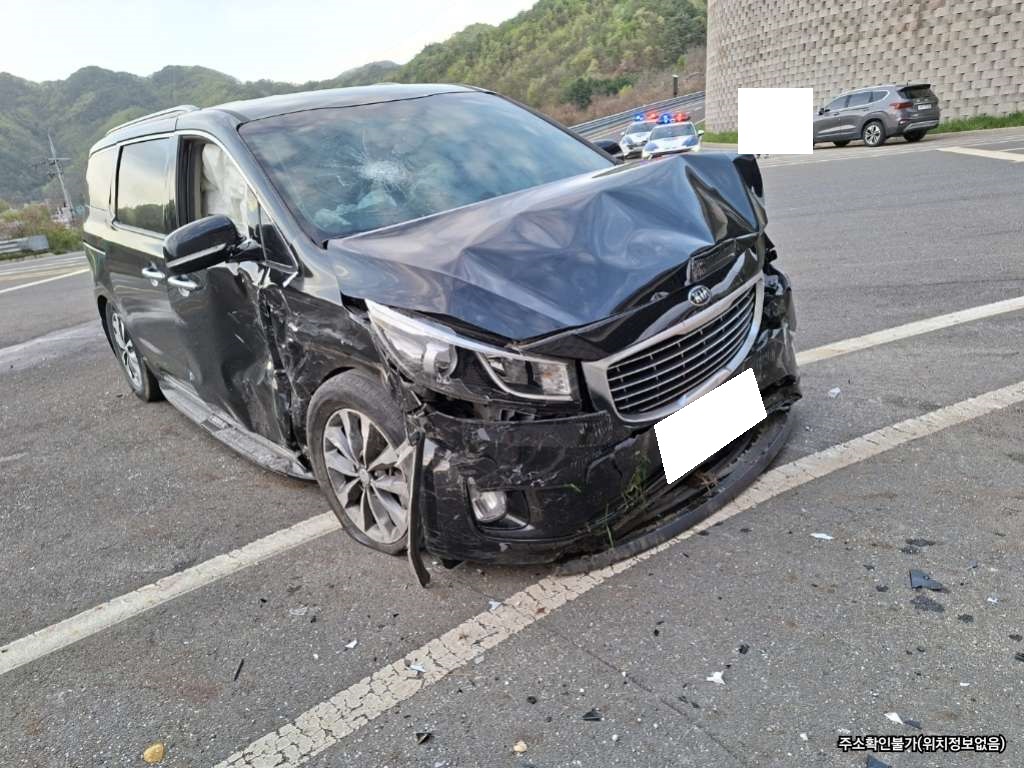 2017 All New Carnival Diesel 11seates (293489) pre-producted