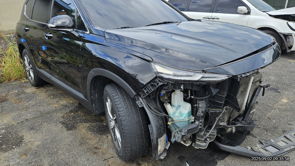 2019 Santa Fe TM Diesel 2.0 2WD Premium (150757) pre-producted