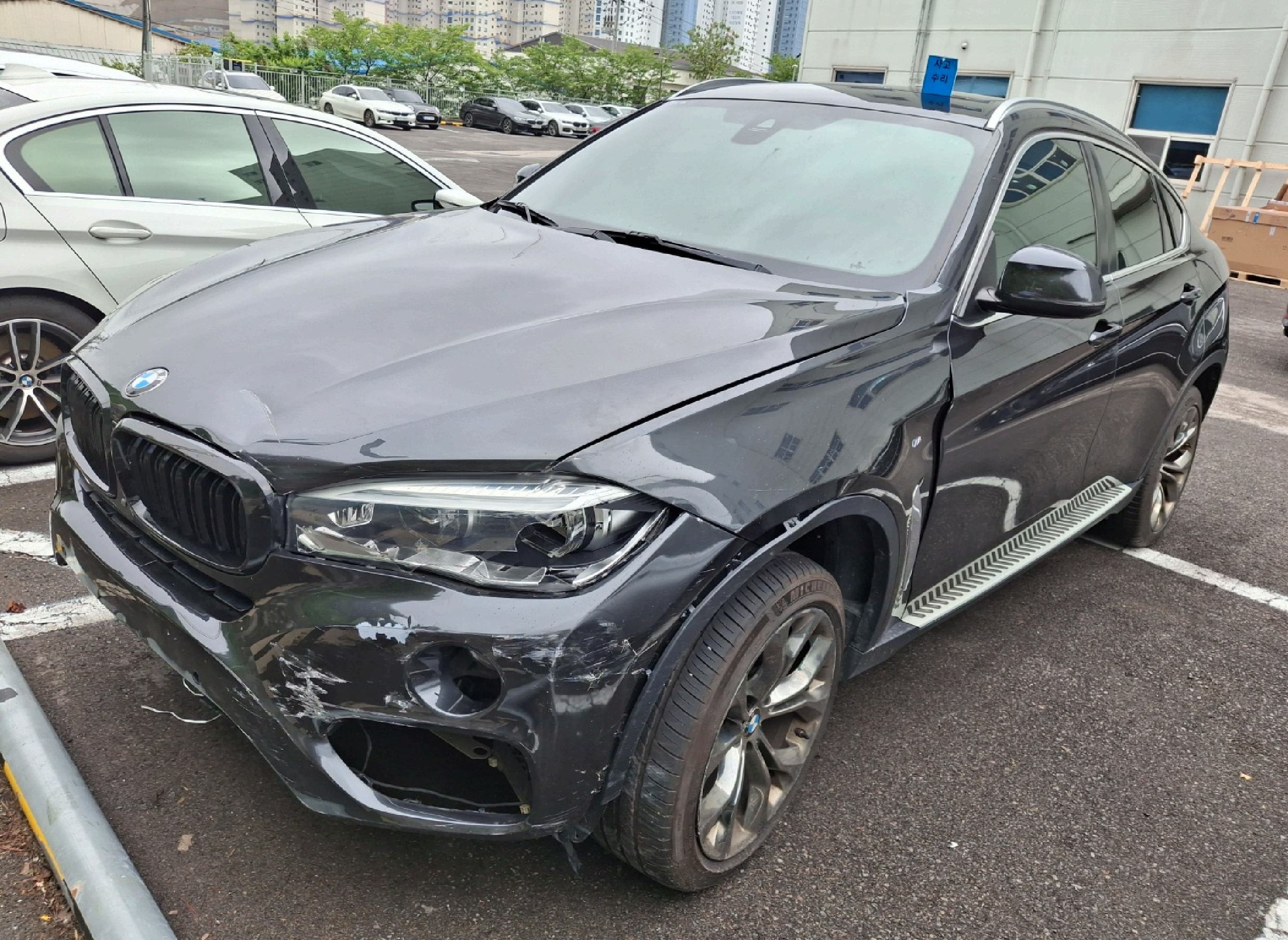 2019 BMW X6 (F16) xDrive 30d (Z84098) pre-producted