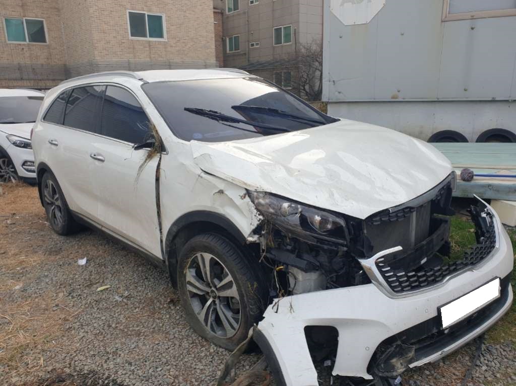 2018 The New Sorento Diesel 2.2 4WD Noblesse (433616) pre-producted