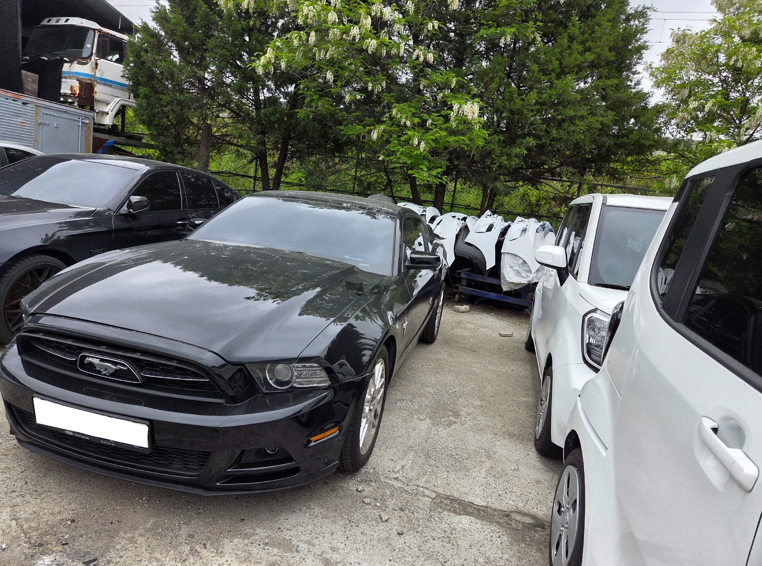 2014 Ford Mustang Coupe (312741) pre-producted