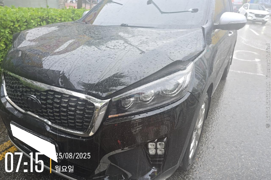 2018 The New Sorento Diesel 2.0 2WD Noblesse Special (411022) pre-producted