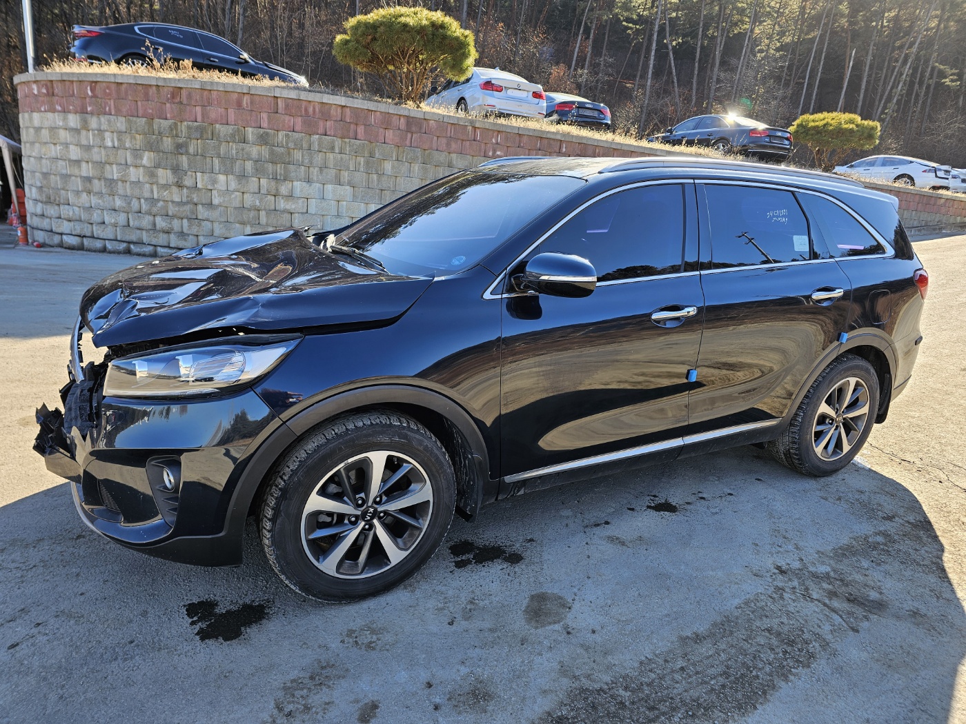 2019 The New Sorento Gasoline 2.0 Turbo 4WD Prestige (S/N: 483658)