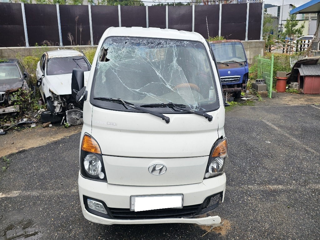 2017 Porter 2 1.0-ton Double Cab (CRDi) (337144) pre-producted