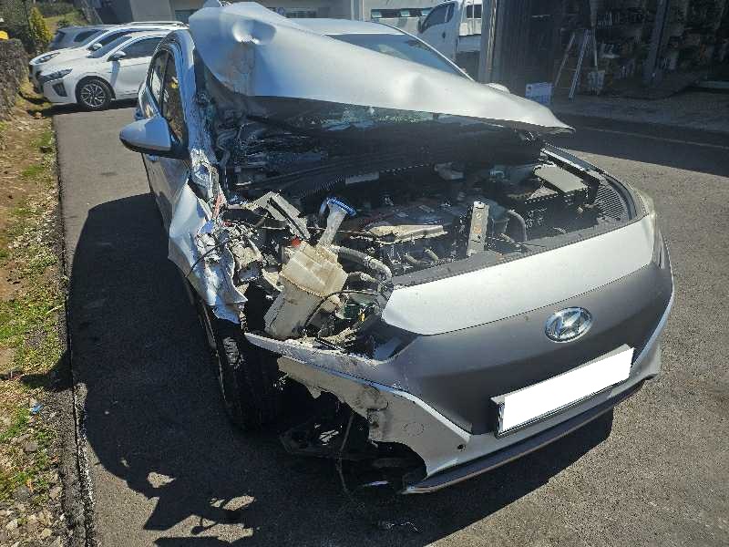 2017 Ioniq Electric (000773) pre-producted