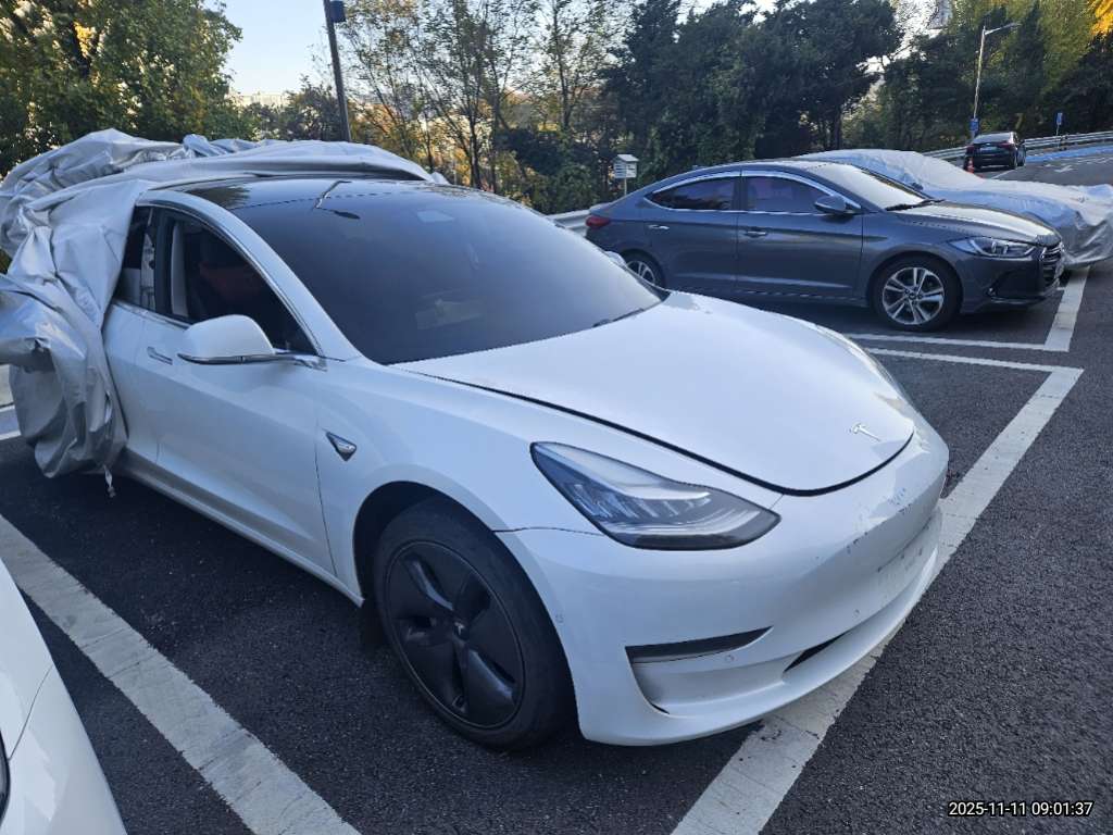 2020 Tesla Model 3 Long Range (585665) pre-producted