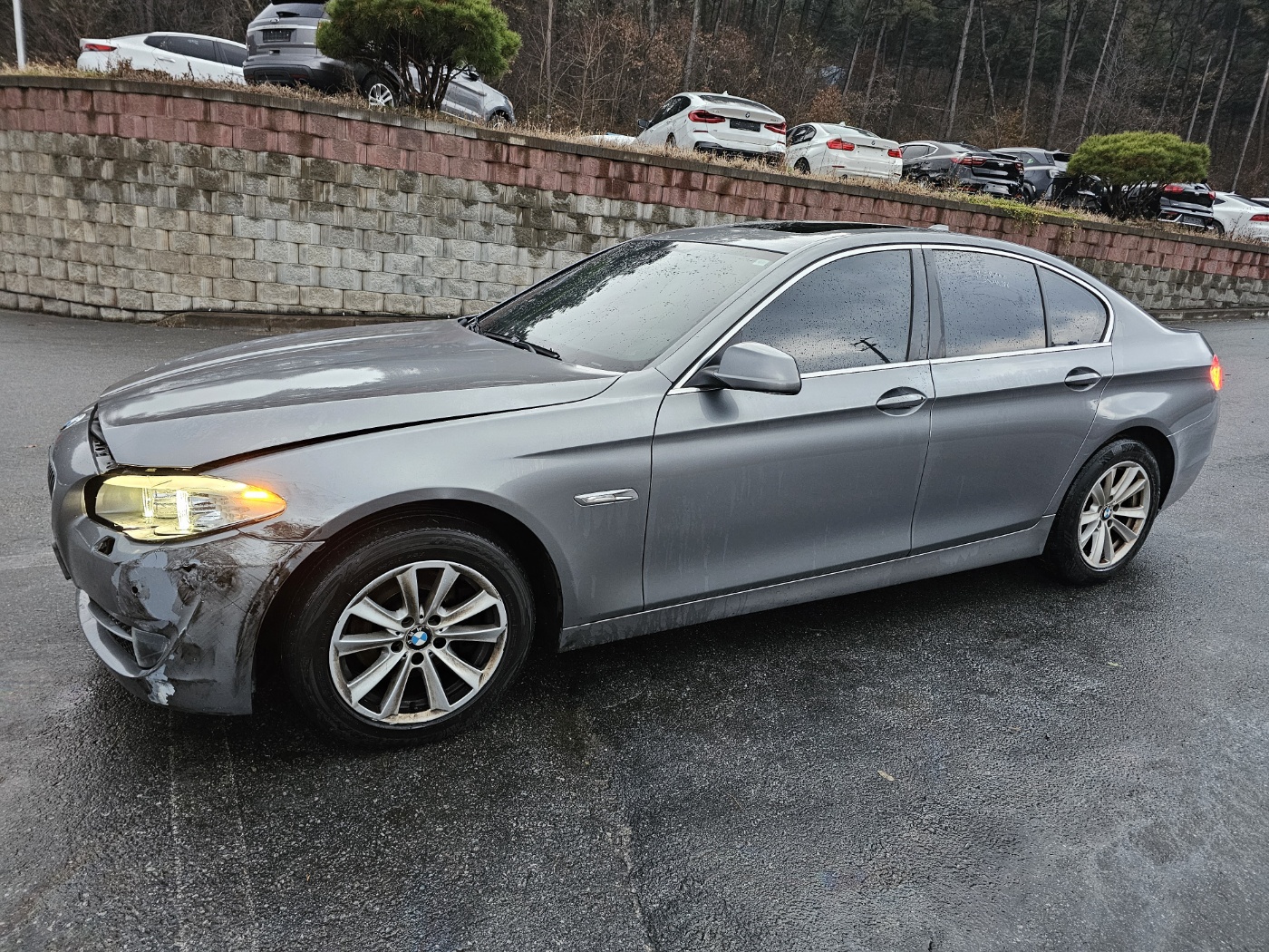 2013 BMW 5 Series (F10) 520d (S/N: 268876)