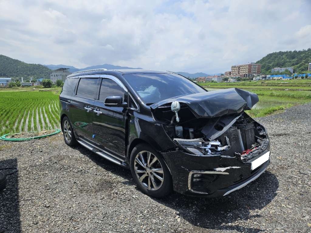 2019 The New Carnival Diesel Limousine VIP (446752) pre-producted