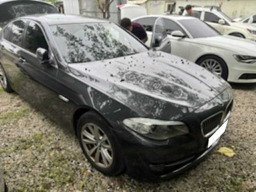 2012 BMW 5 Series (F10) 520d (X09767) pre-producted