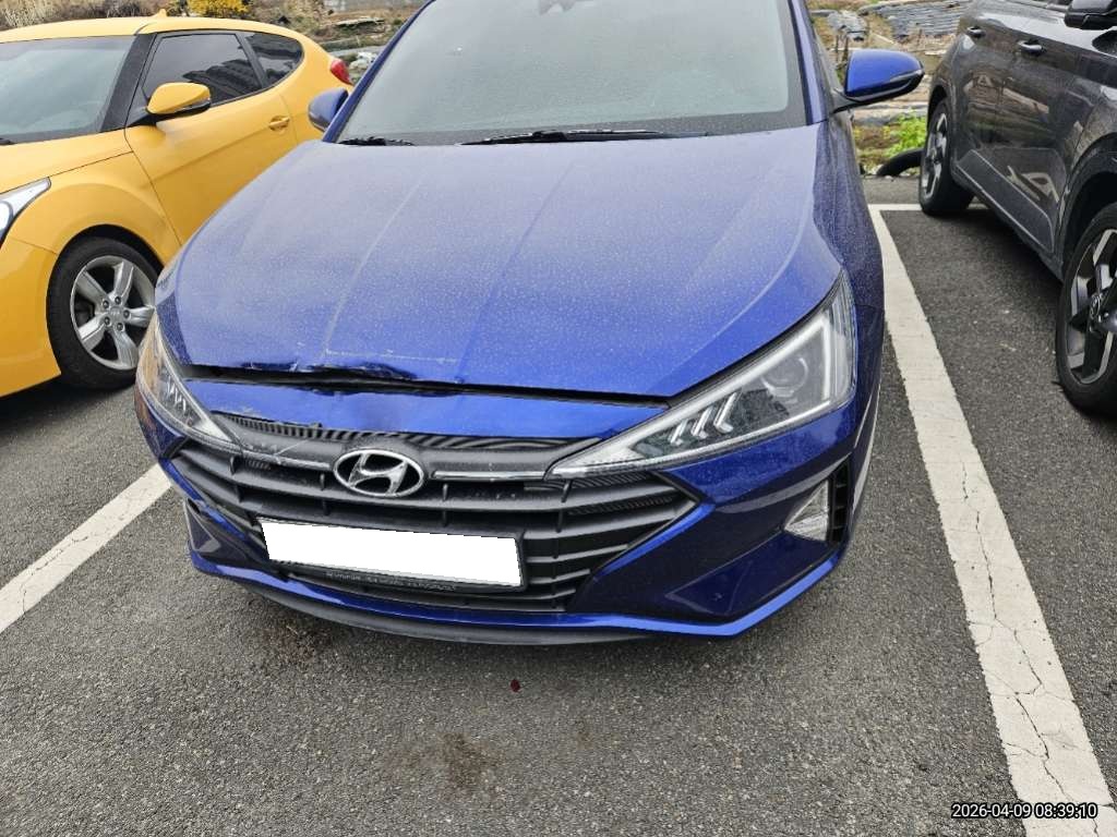 [Reserved]2019 The New Avante AD (887764) pre-producted