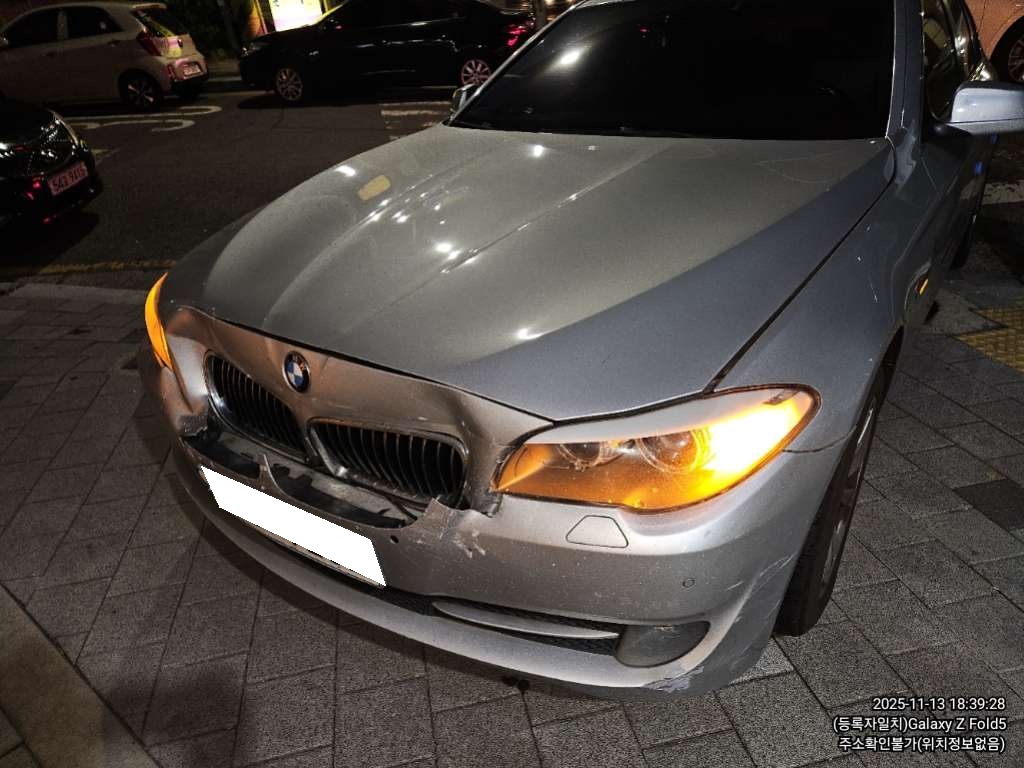 2011 BMW 5 Series (F10) 520d (656044) pre-producted