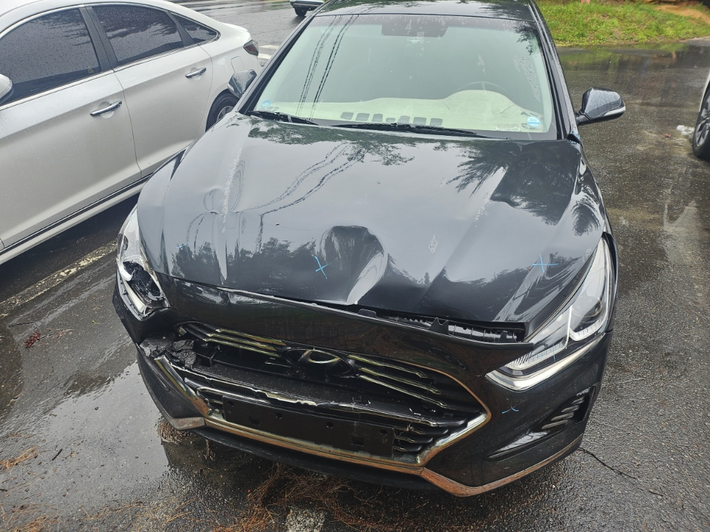 2018 Sonata New Rise 2.0 (360119) pre-producted