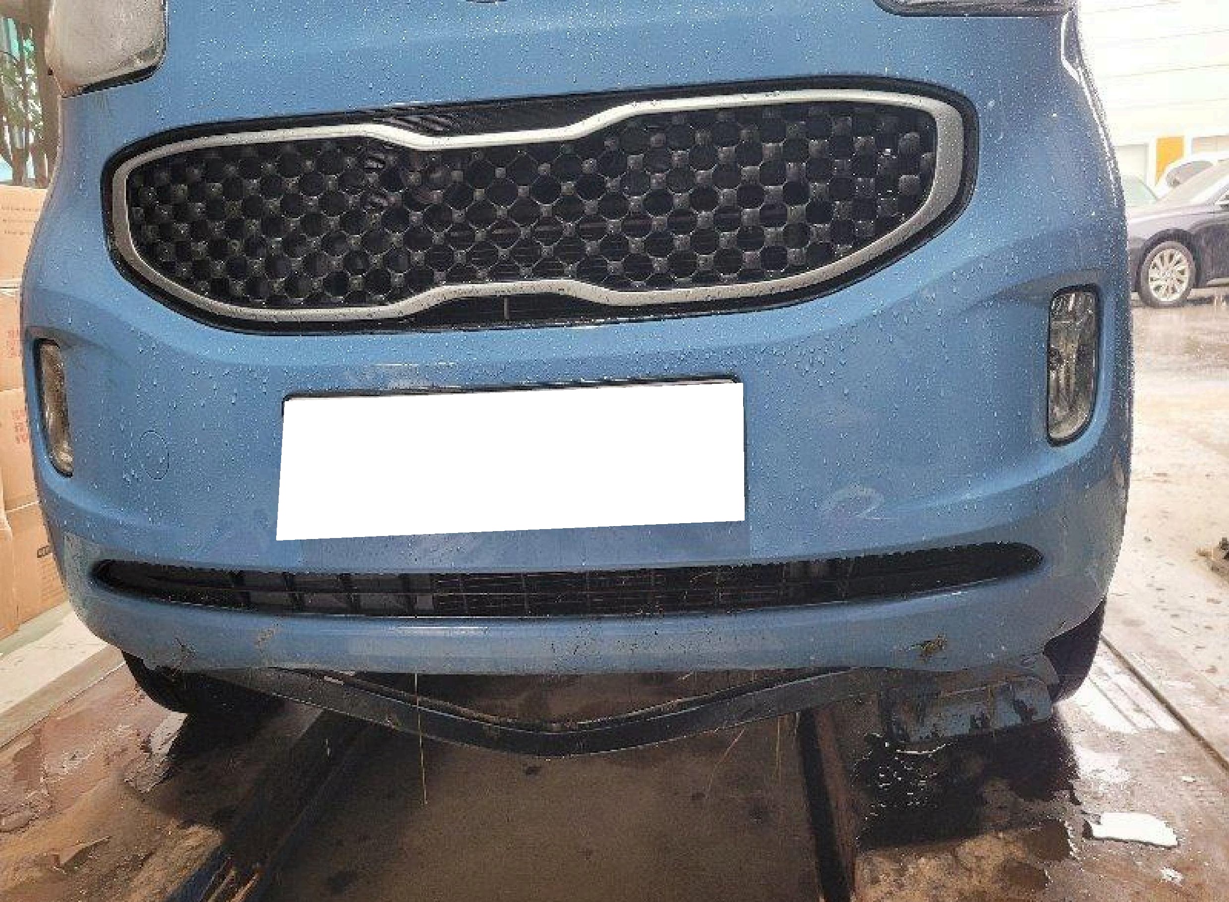 [SOLDOUT]2016 Ray Luxury (139348) pre-producted