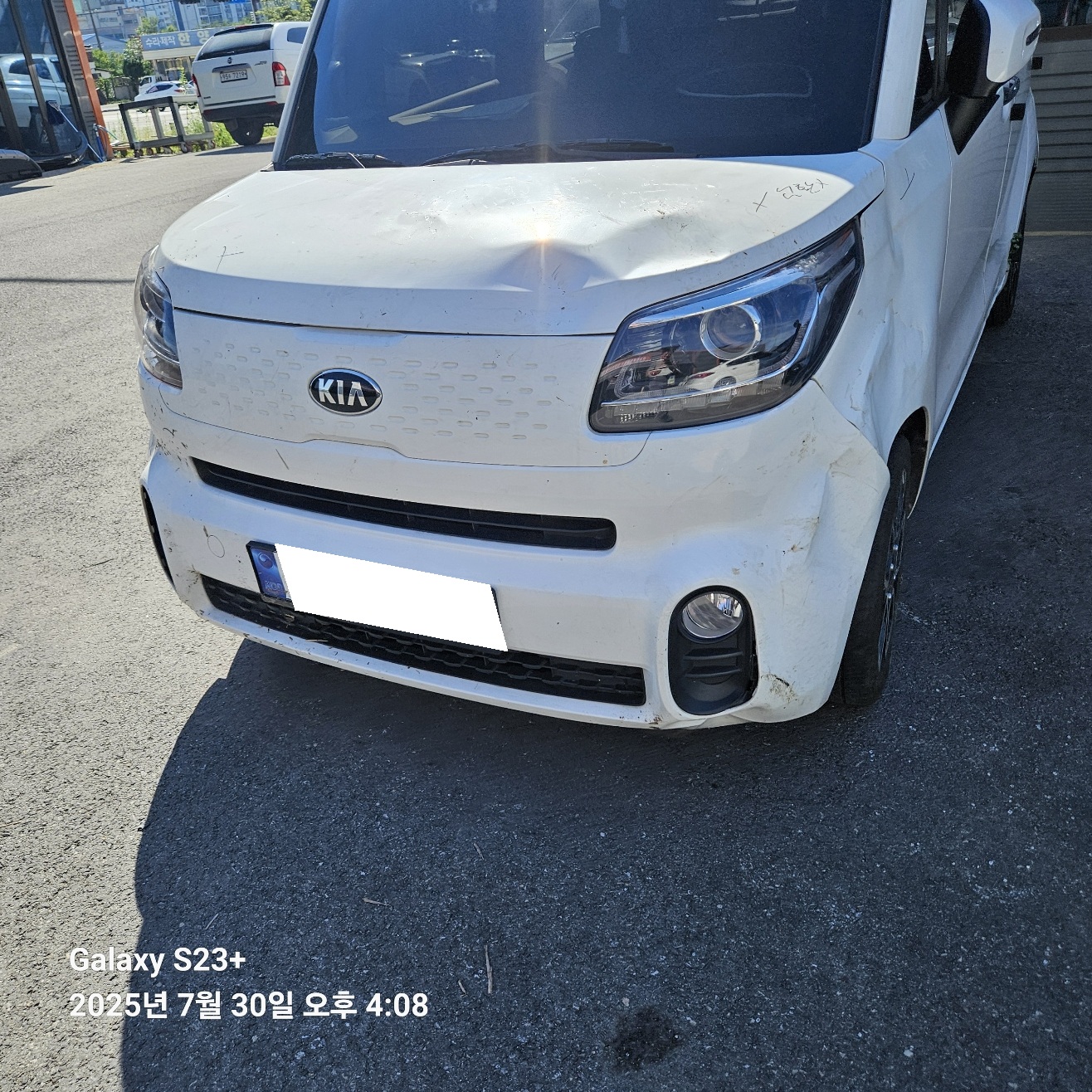[SOLDOUT]2019 The New Ray LPI Prestige (201594) pre-producted