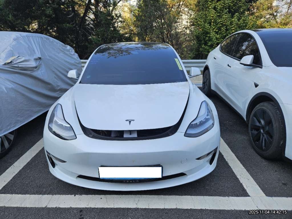 2020 Tesla Model 3 Long Range (725557) pre-producted