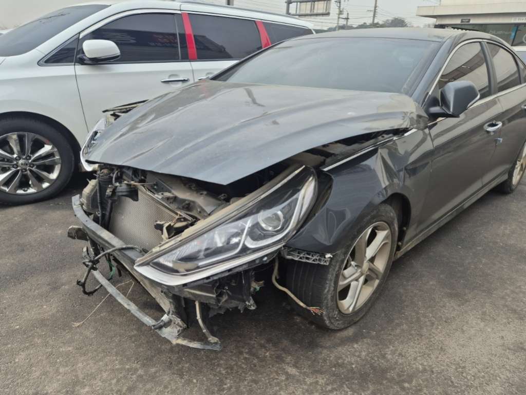 2018 Sonata New Rise 2.0 Smart (405652) pre-producted