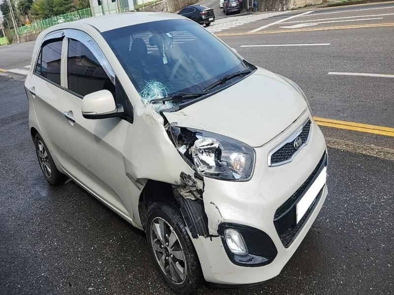 2015 All New Morning Trendy (828808) pre-producted