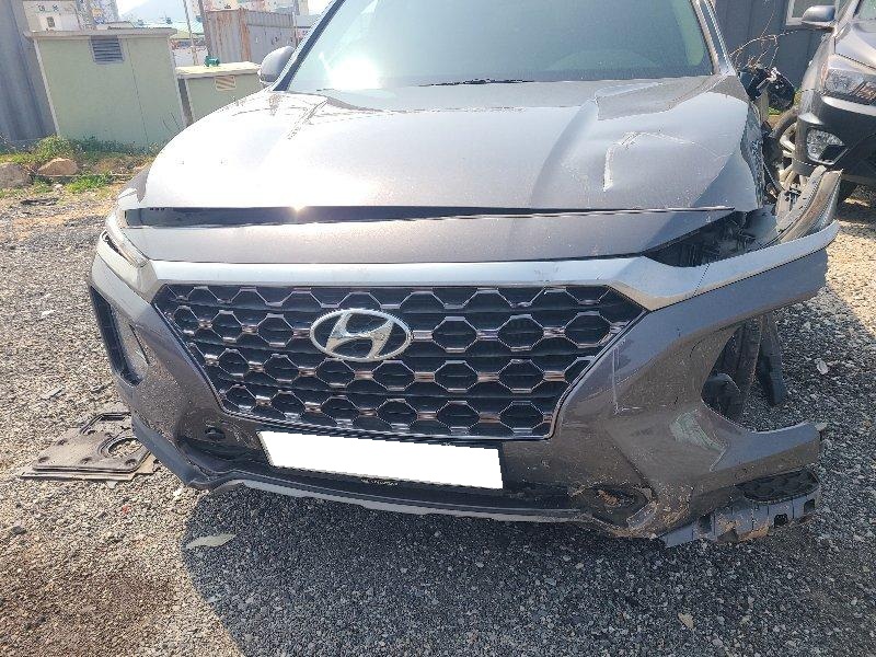 2019 Santa Fe TM Diesel 2.0 2WD (069295) pre-producted
