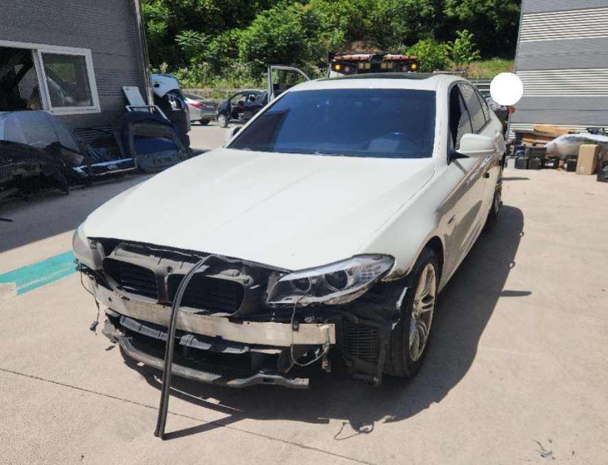 2013 BMW 5 Series (F10) 520d (266284) pre-producted