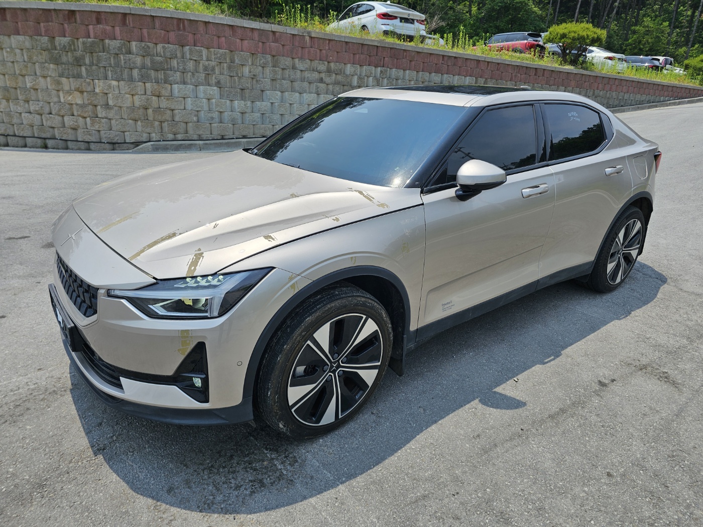 2023 Polestar 2 Long Range Single Motor (S/N: 141895)