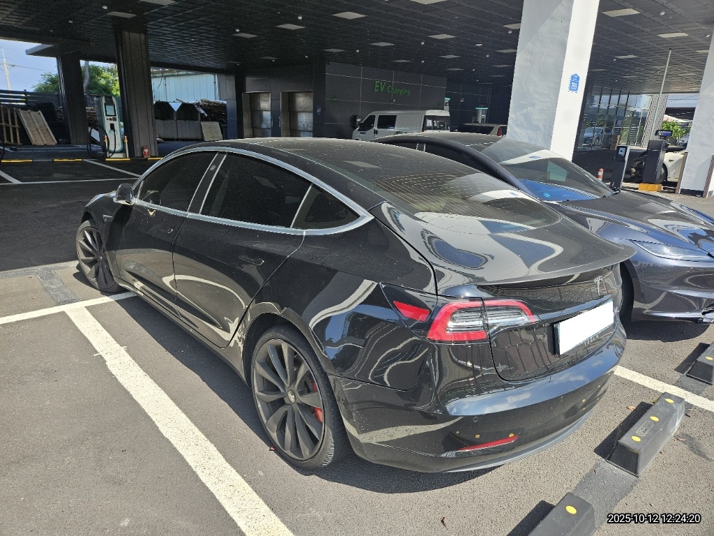 2020 Model 3 Performance (756302) pre-producted