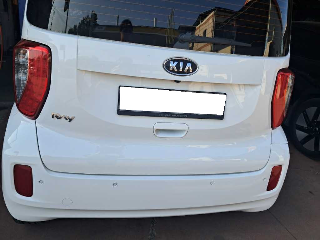 2012 RAY 1.0 (008830) pre-producted