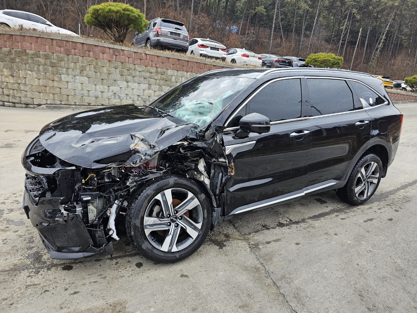 2023 Sorento 4th gen (MQ4) hybrid HEV 1.6 2WD Signature (S/N: 193483)