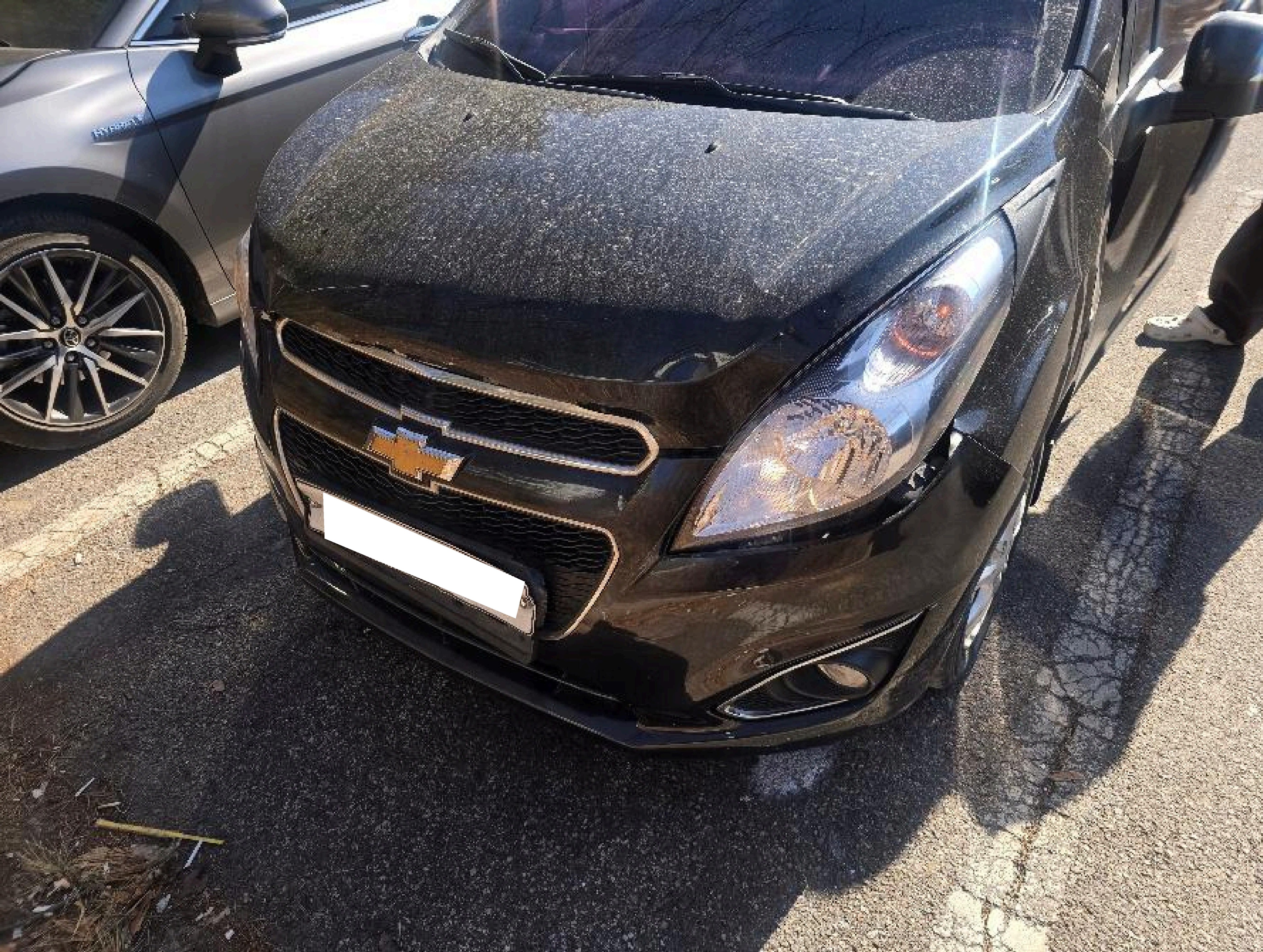 2015 Spark LS Plus (752454) pre-producted