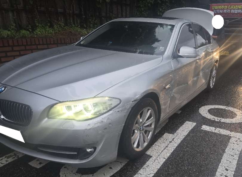 2011 BMW 5 Series (F10) 520d (U26090) pre-producted