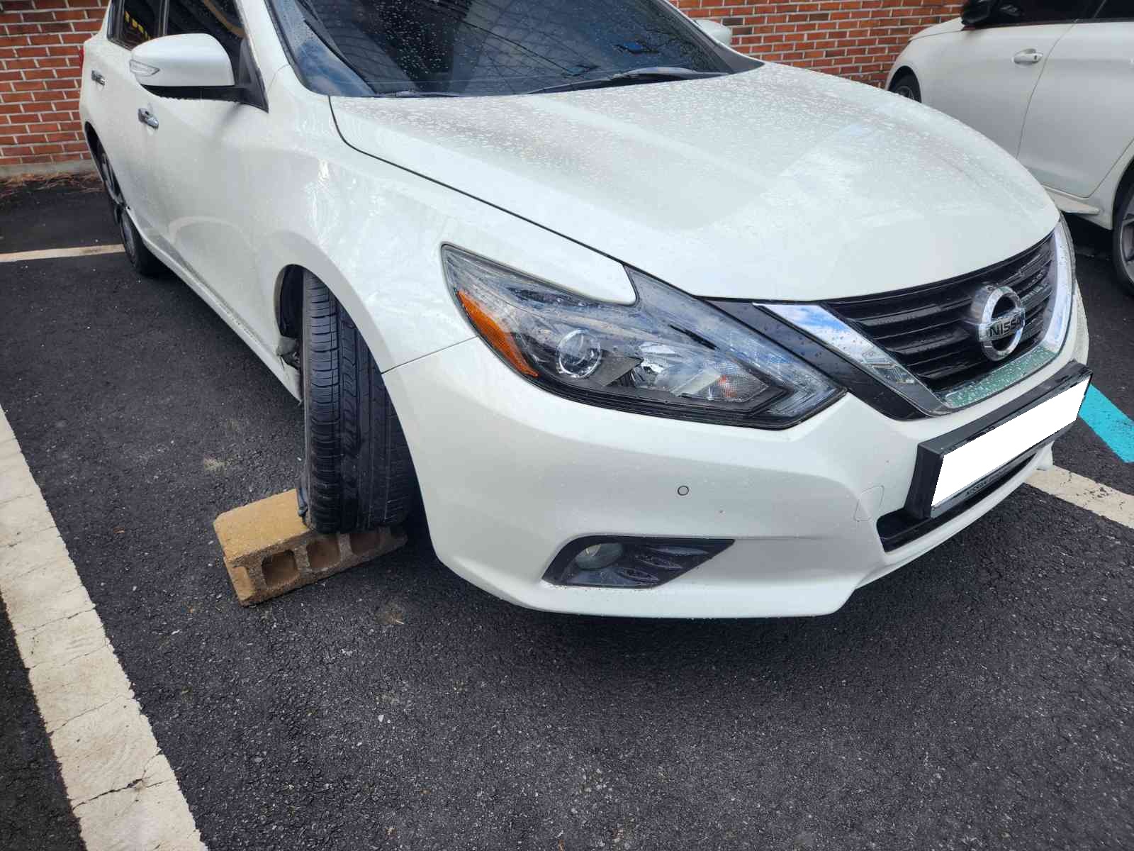 2017 Nissan Altima 2.5 (257950) pre-producted