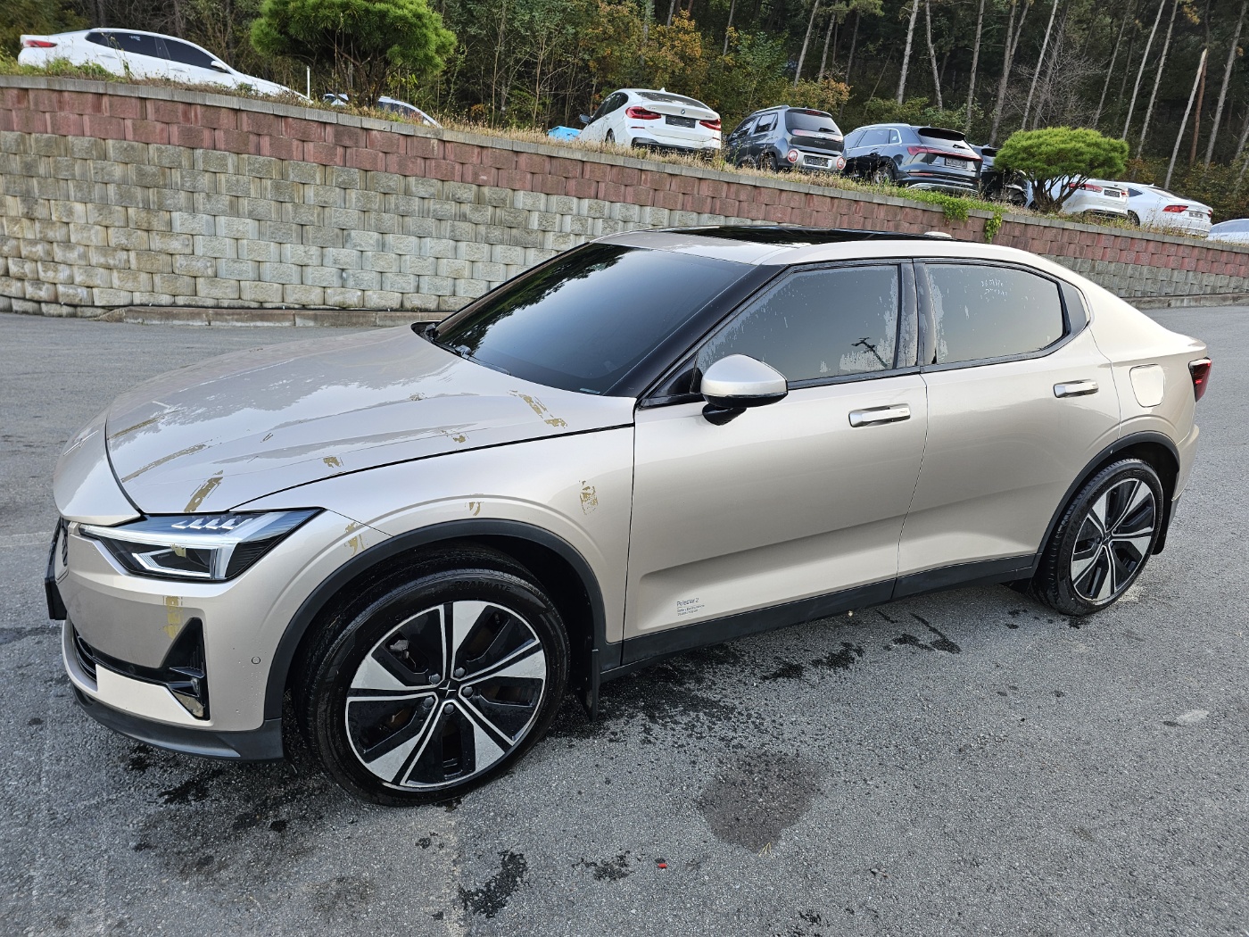 2023 Polestar 2 Long Range Single Motor (S/N: 141895)