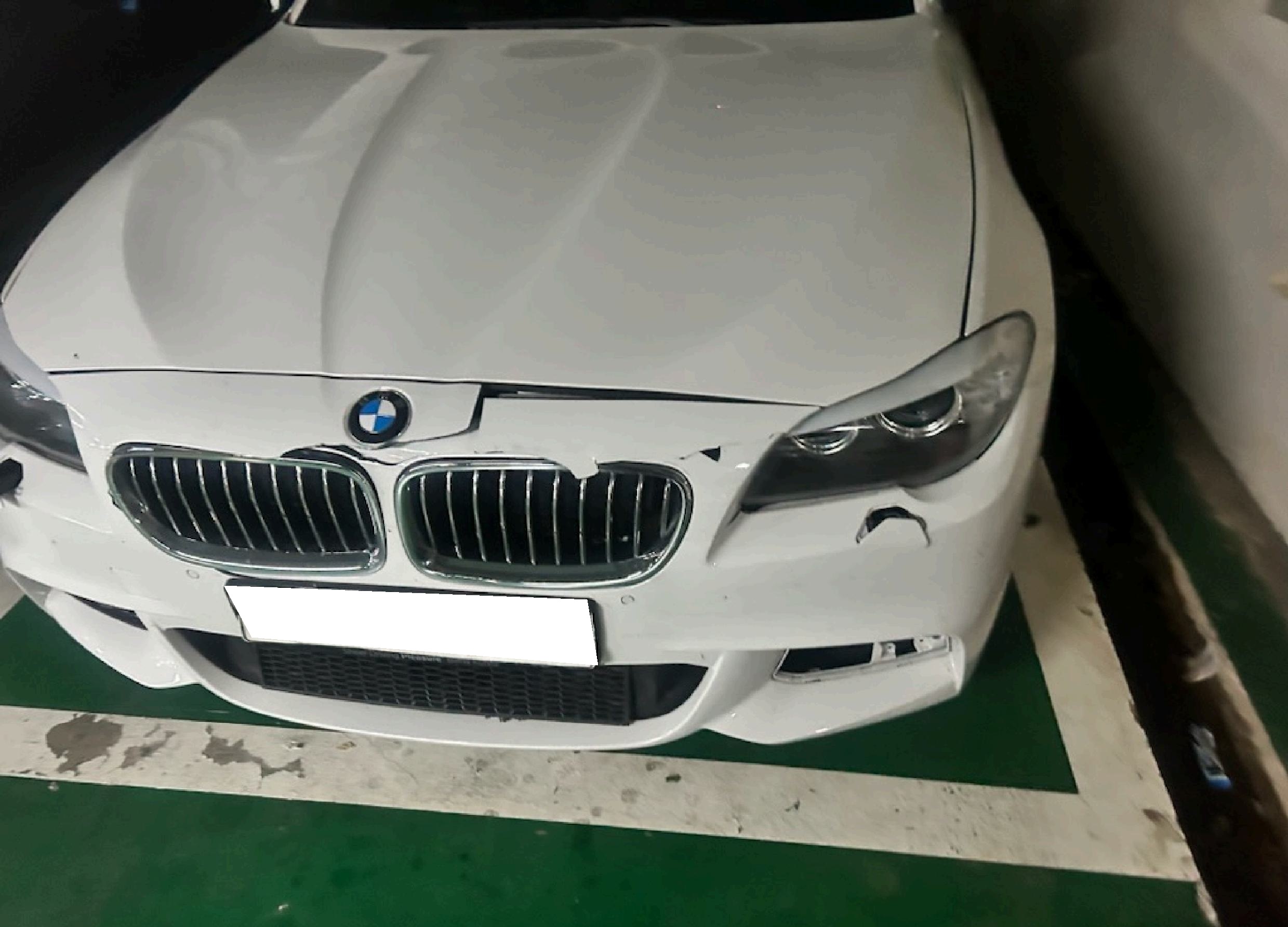 2013 BMW 5 Series (F10) 520d (Y57947) pre-producted