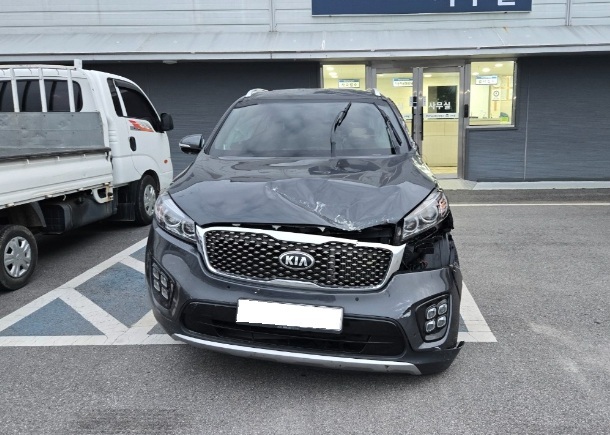 2017 All-new Sorento Diesel 4WD 2.0 Noblesse (276802) pre-producted