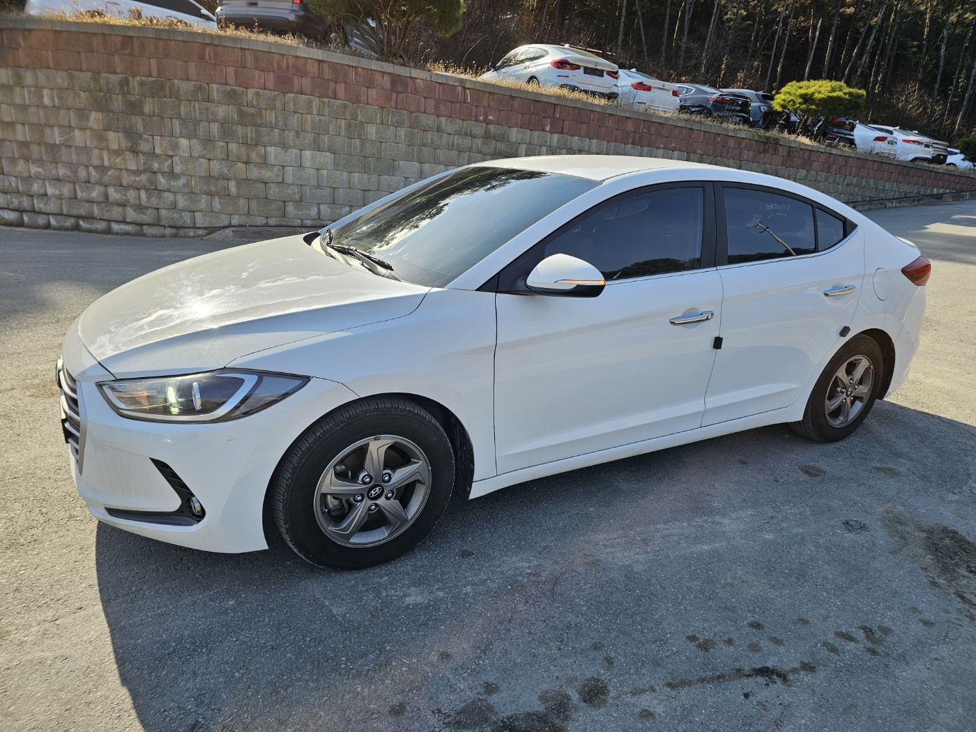 2017 Avante AD 1.6 LPI Style (rental car) (S/N: 316158)